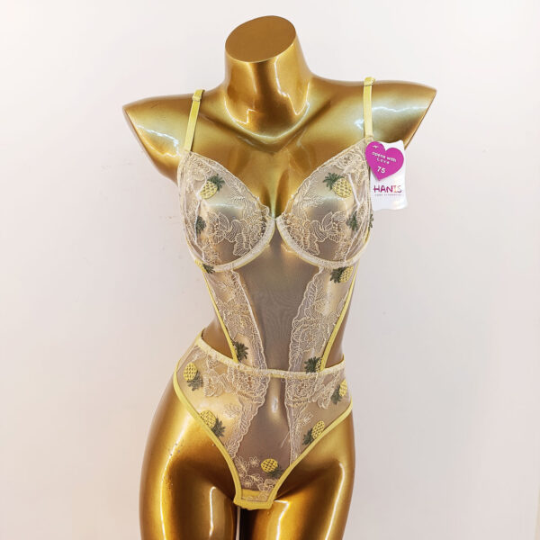 بادی توری آناناسی هانس